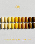 JIN.B Color Brick [YELLOW LINE]