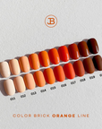 JIN.B Color Brick [ORANGE LINE]