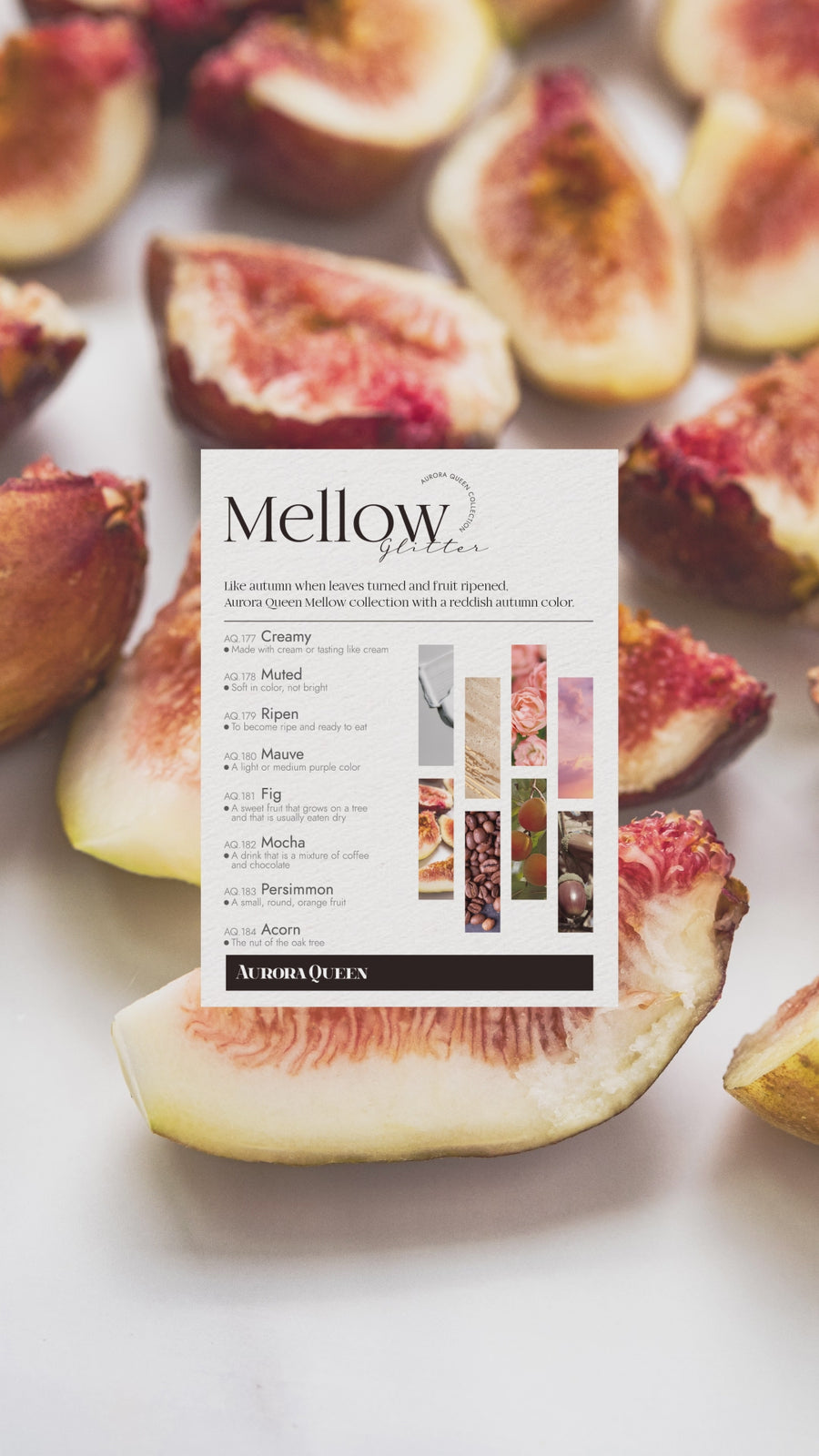 Aurora Queen Mellow Collection