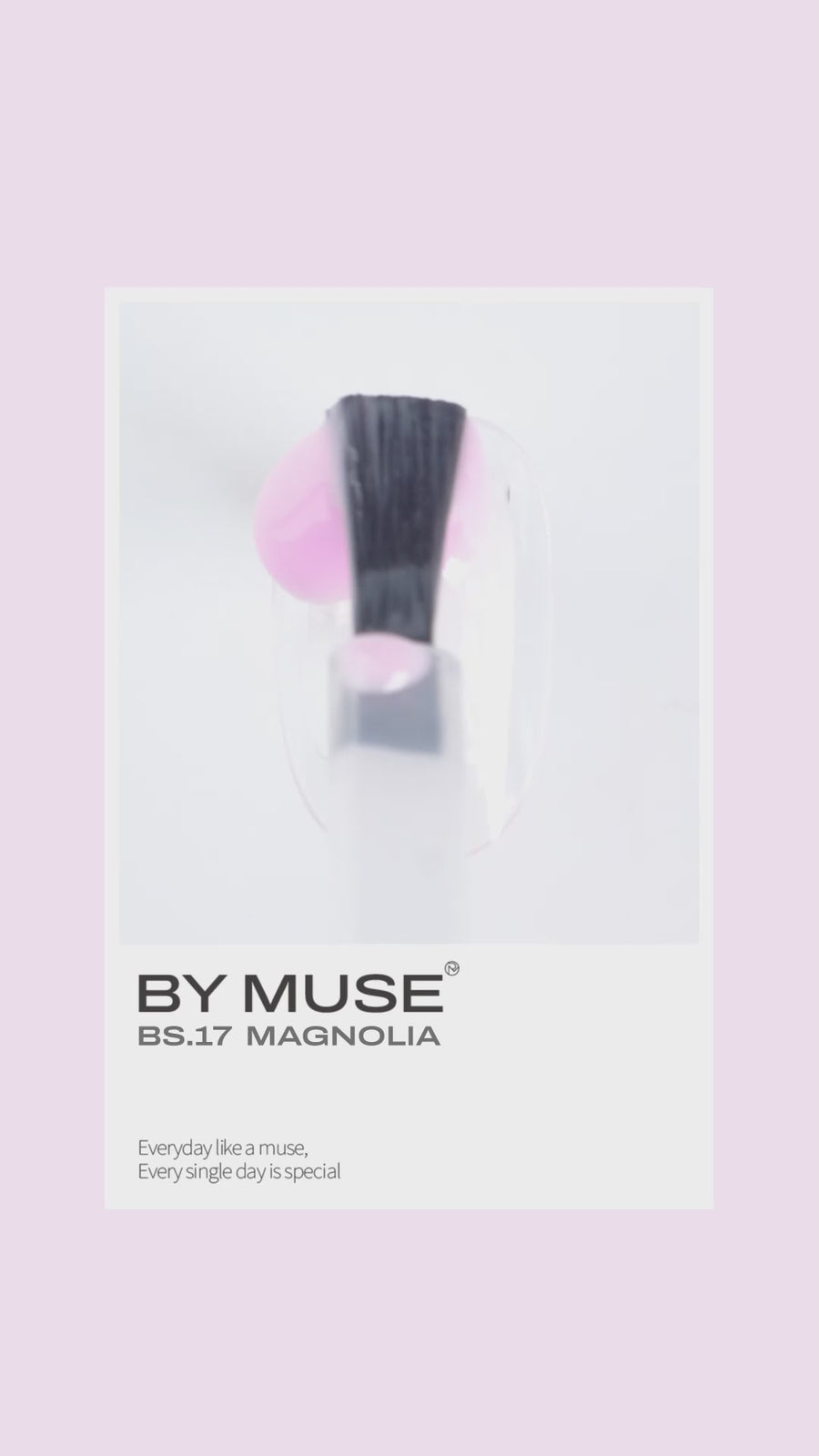 By Muse [C Set] Collection
